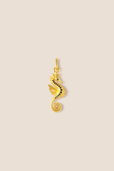 Charm Caballito de Mar