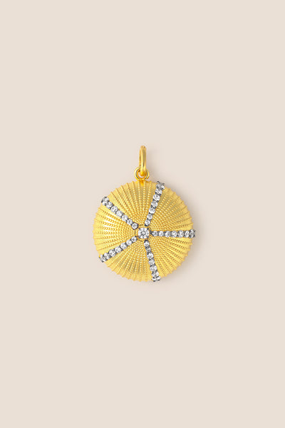 Charm Erizo